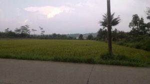Jual Tanah di leuwiliang Bogor