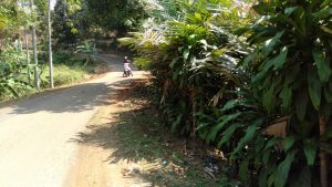 Jual Tanah Murah di Bogor Pinggir Jalan Aspal Kaki Bukit