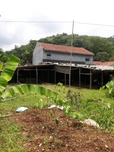Jual Tanah di Bogor Gratis Rumah, Sarang Walet dan Kolam