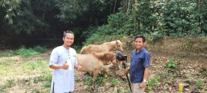 Jual Tanah di Bogor Dalam Cluster Asna Mulia Dekat IPB Dramaga