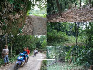 Jual tanah Murah di Bogor Barat