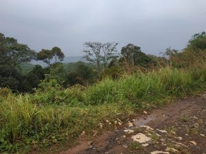 Jual Murah Tanah di Bogor Barat Masuk Mobil